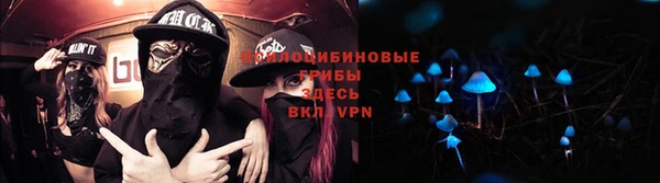 стаф Белоозёрский