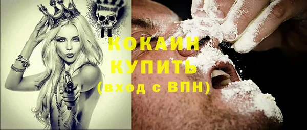 шишки Дедовск