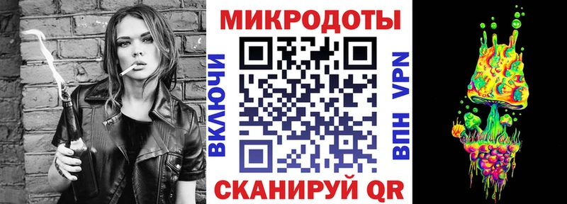 дарк нет как зайти  Великий Устюг  Псилоцибиновые грибы мицелий 